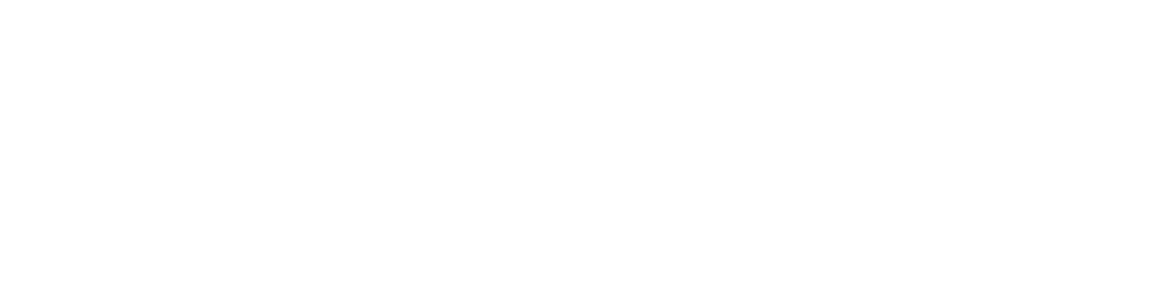 Silicon Overdrive Logo